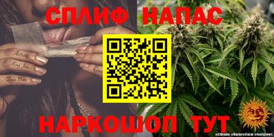 каннабис Новокубанск
