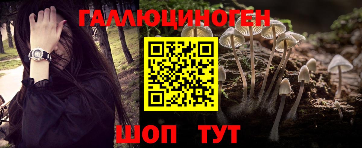 Топки  Псилоцибиновые грибы мухоморы  Вход с VPN 