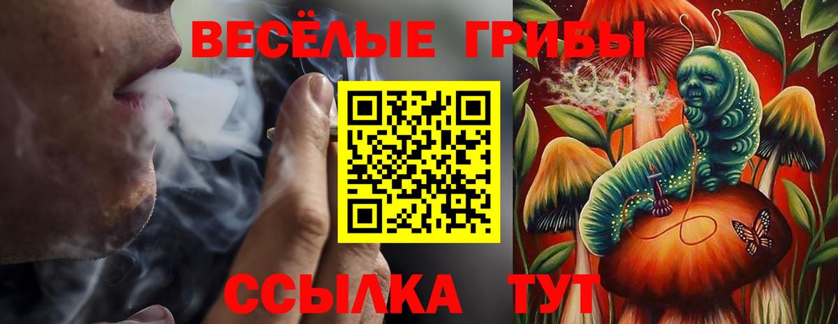 Галлюциногенные грибы Cubensis Топки